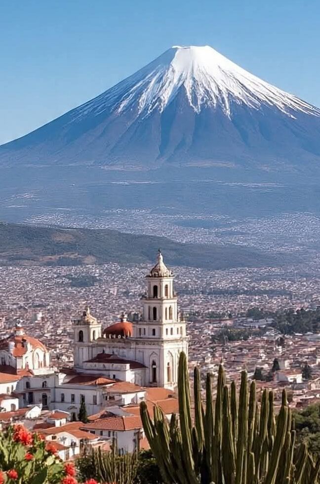 1c505d7c45e55e16dad8f0d7ca4f8d99